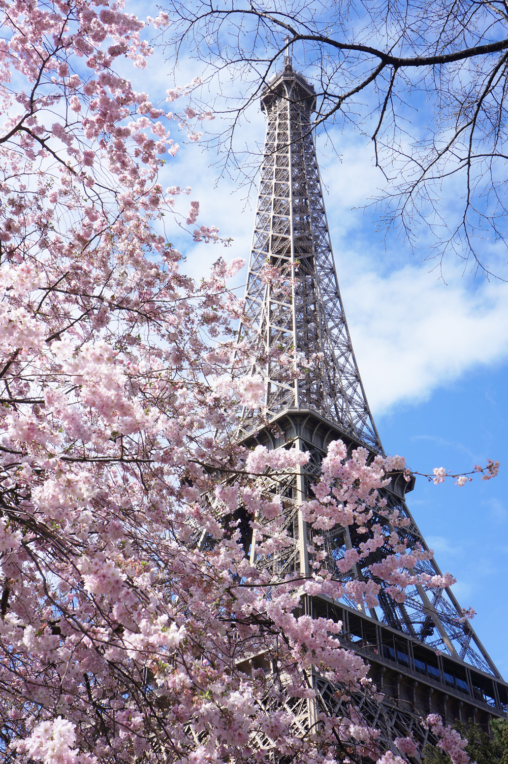 paris-tour-eiffel-tower-8