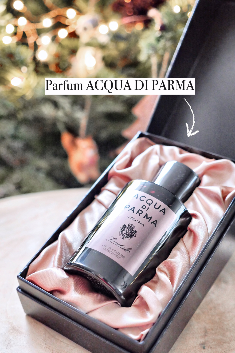 ACQUAdiparma-1