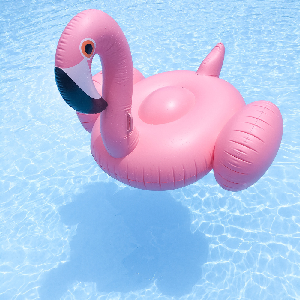 pink-flamingo-sunnyLife